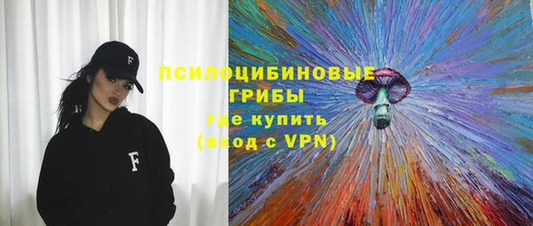твердый Алзамай