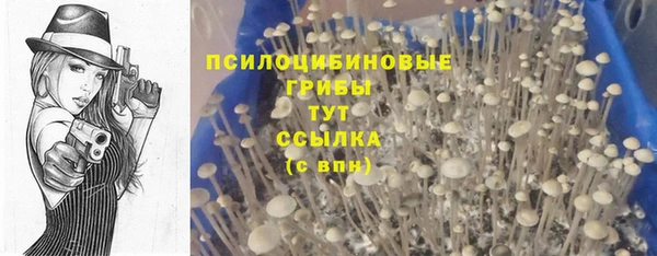 наркотики Алексин