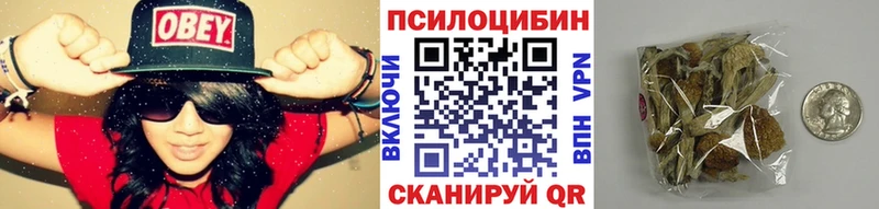 дарнет шоп Тайшет Псилоцибиновые грибы MAGIC MUSHROOMS